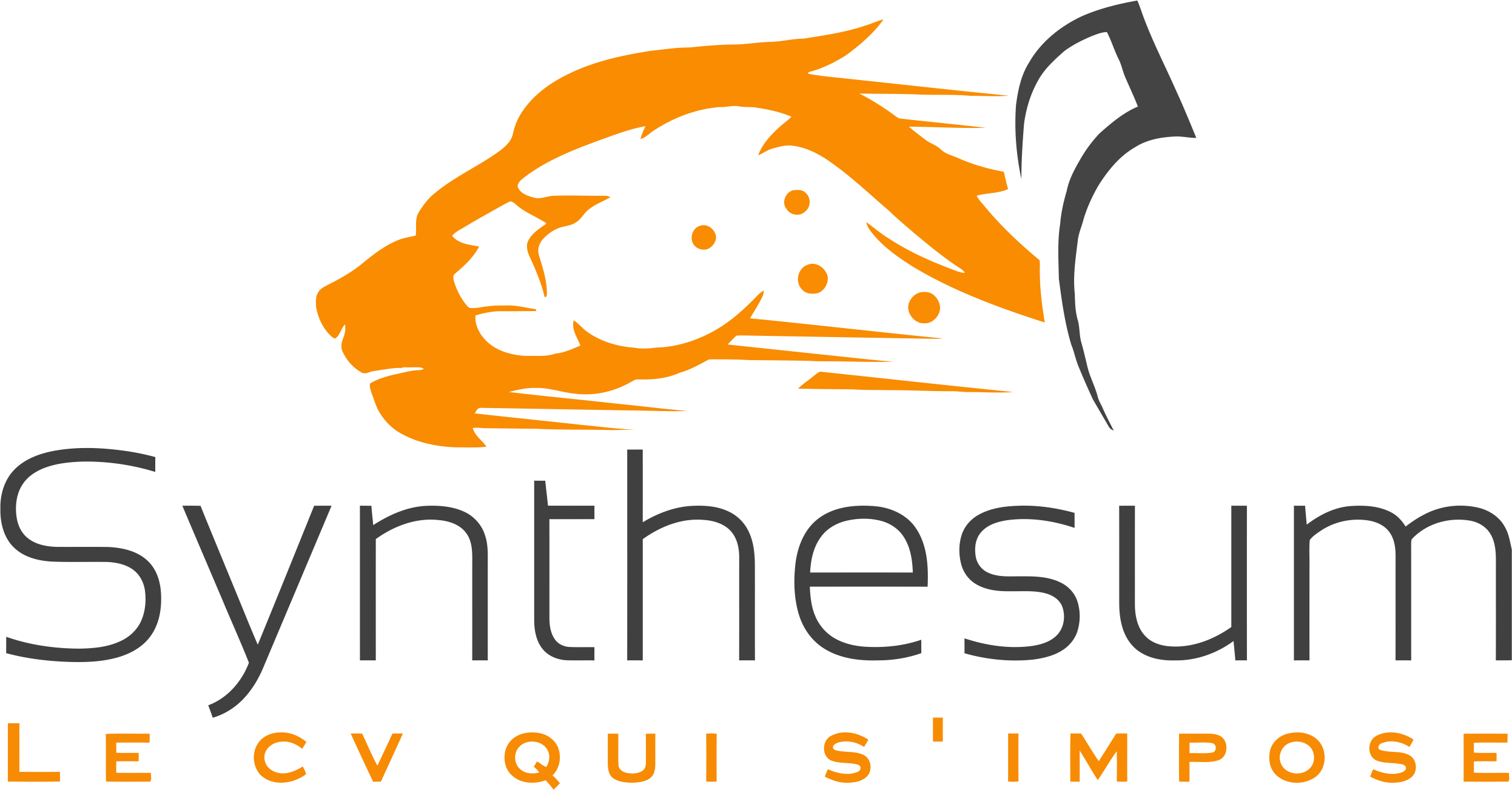 Synthesum : le CV qui s'impose